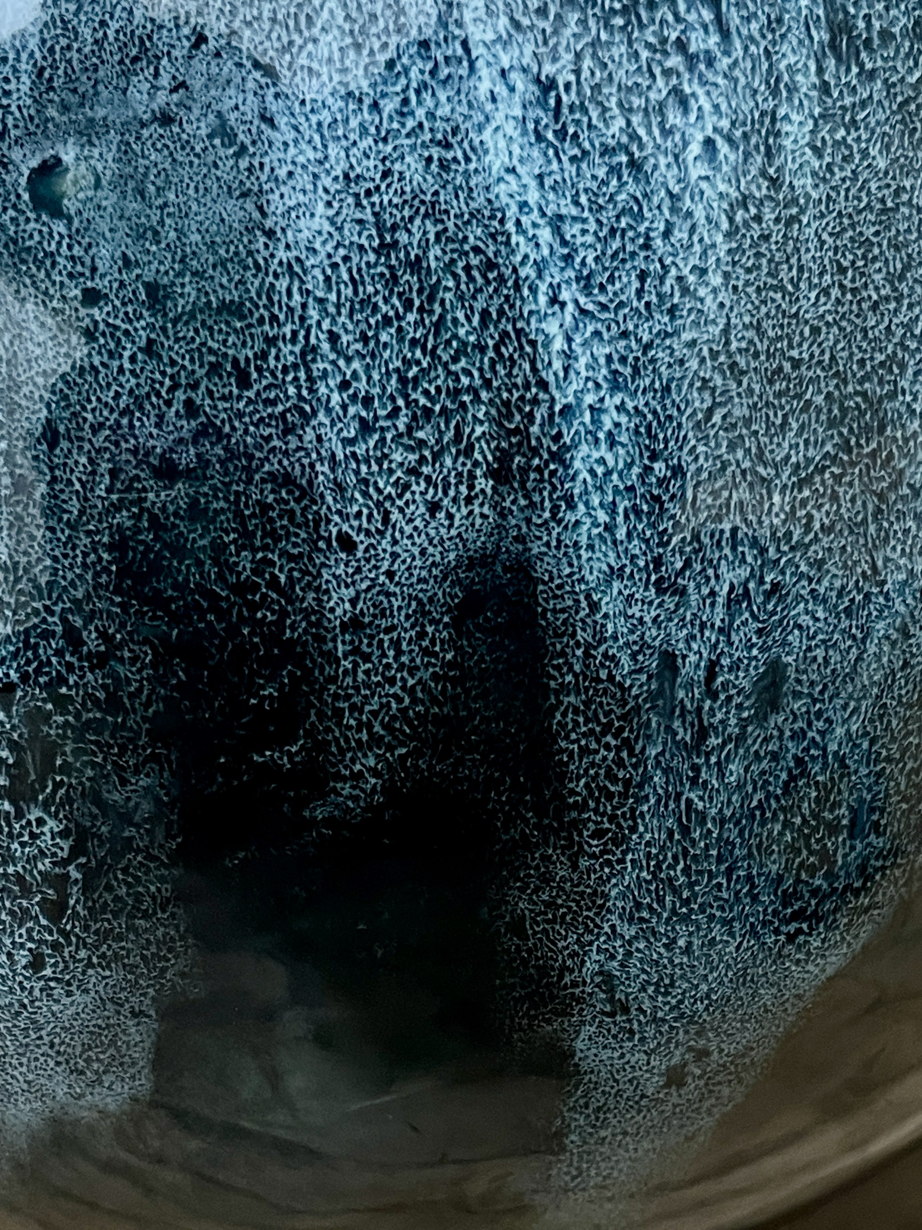 VASES SCULPTURE COLLECTION CALYTHÉRIS TAILLE L – Image 4