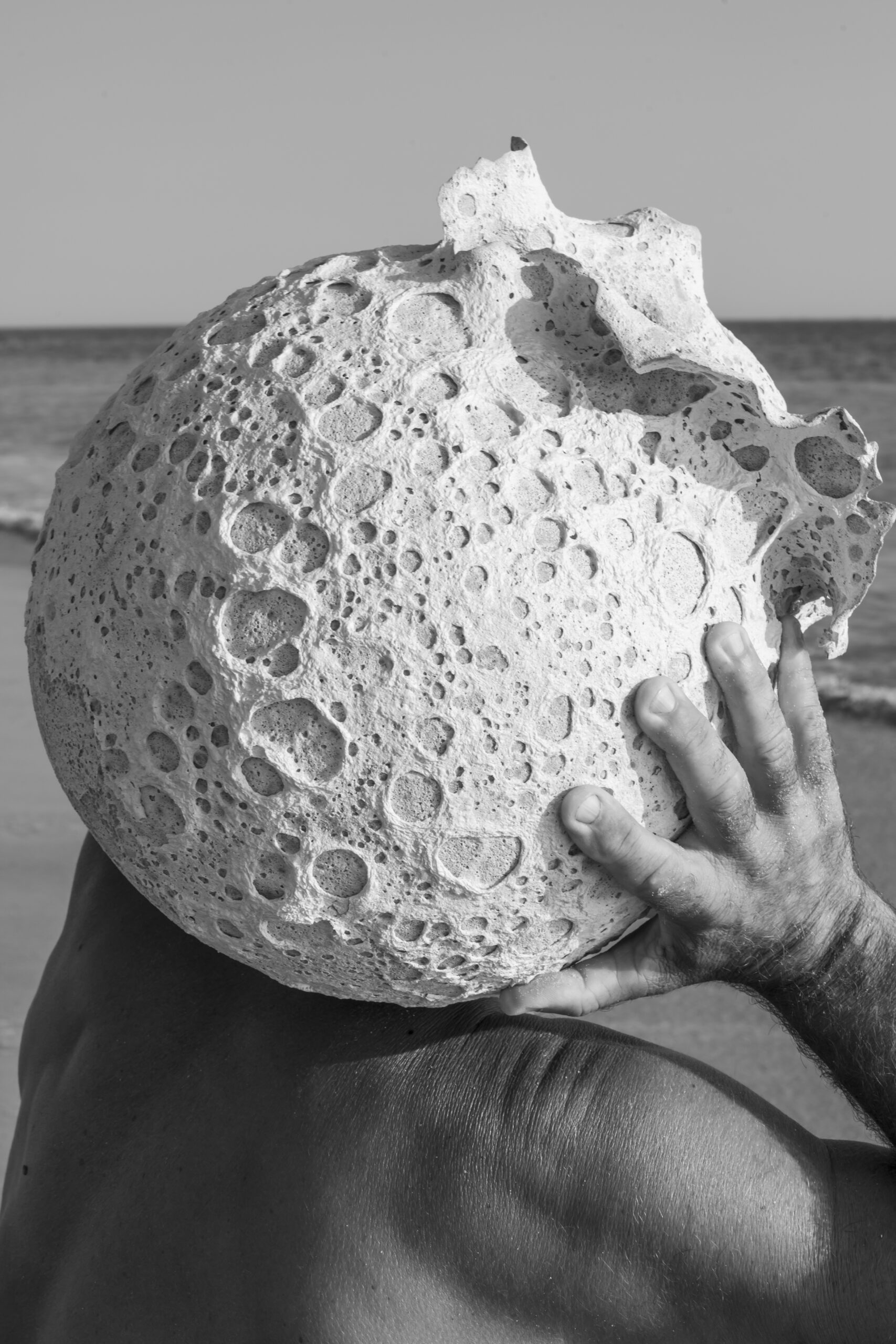 VASES SCULPTURE CALYTHÉRIS TAILLE XL – Image 7