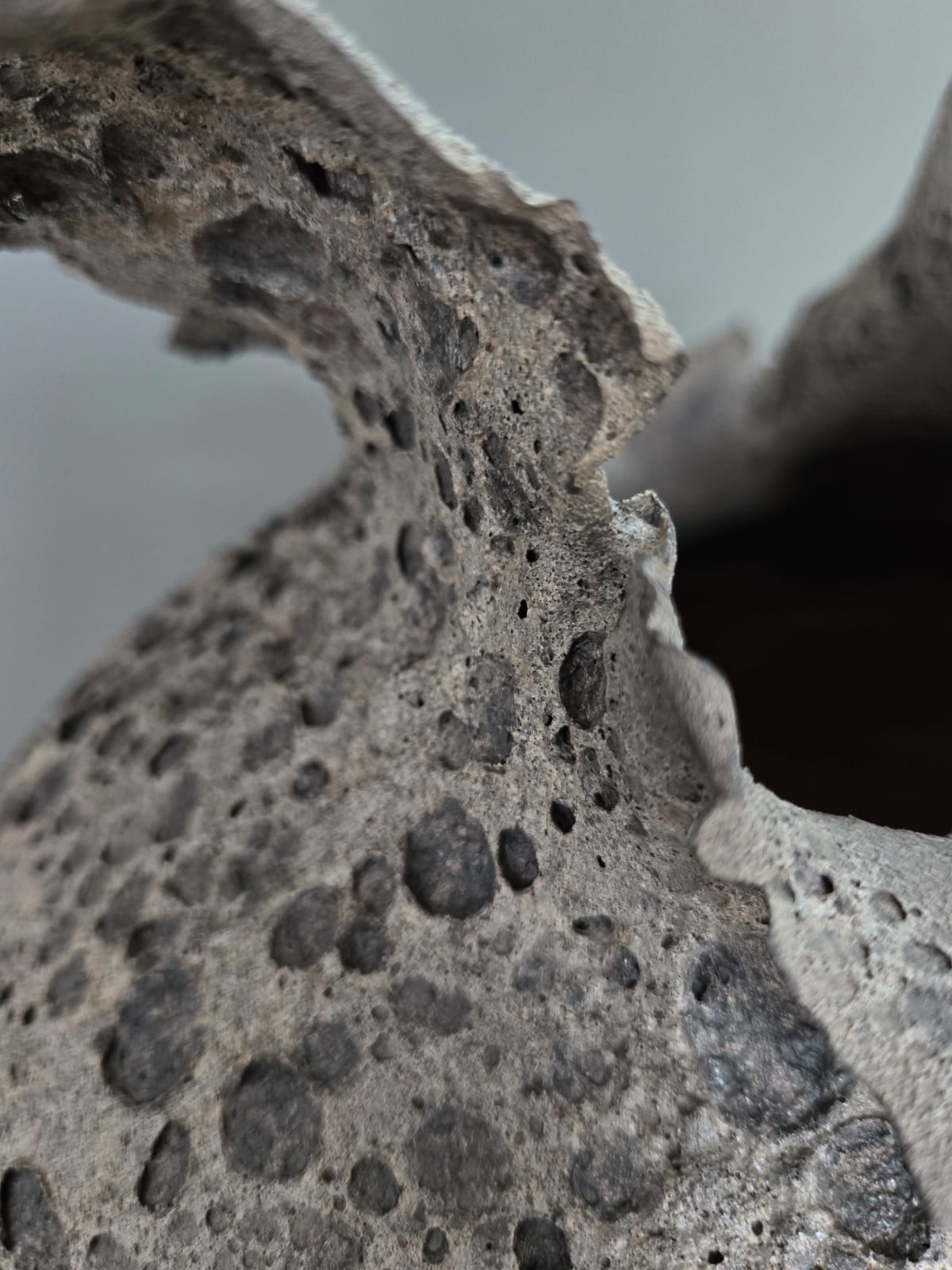 VASES SCULPTURE NOIR CALYTHÉRIS TAILLE XL – Image 6