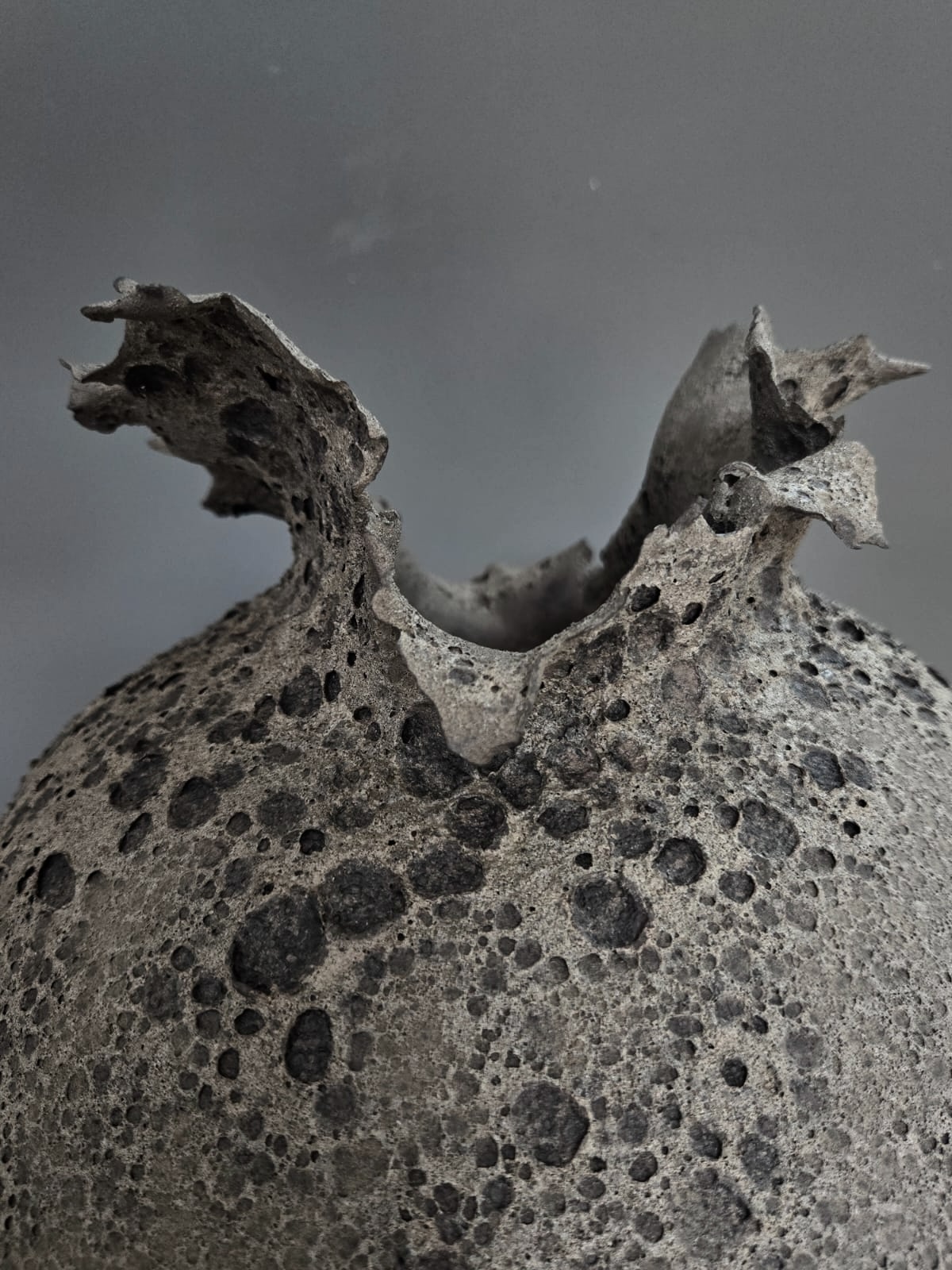 VASES SCULPTURE NOIR CALYTHÉRIS TAILLE XL – Image 5