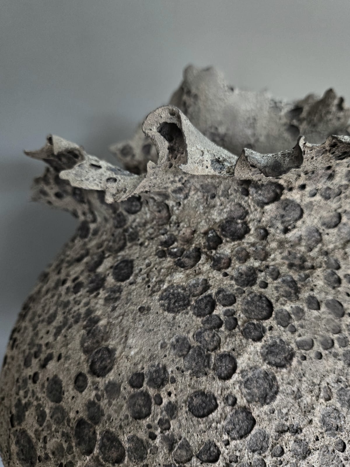 VASES SCULPTURE NOIR CALYTHÉRIS TAILLE XL – Image 4