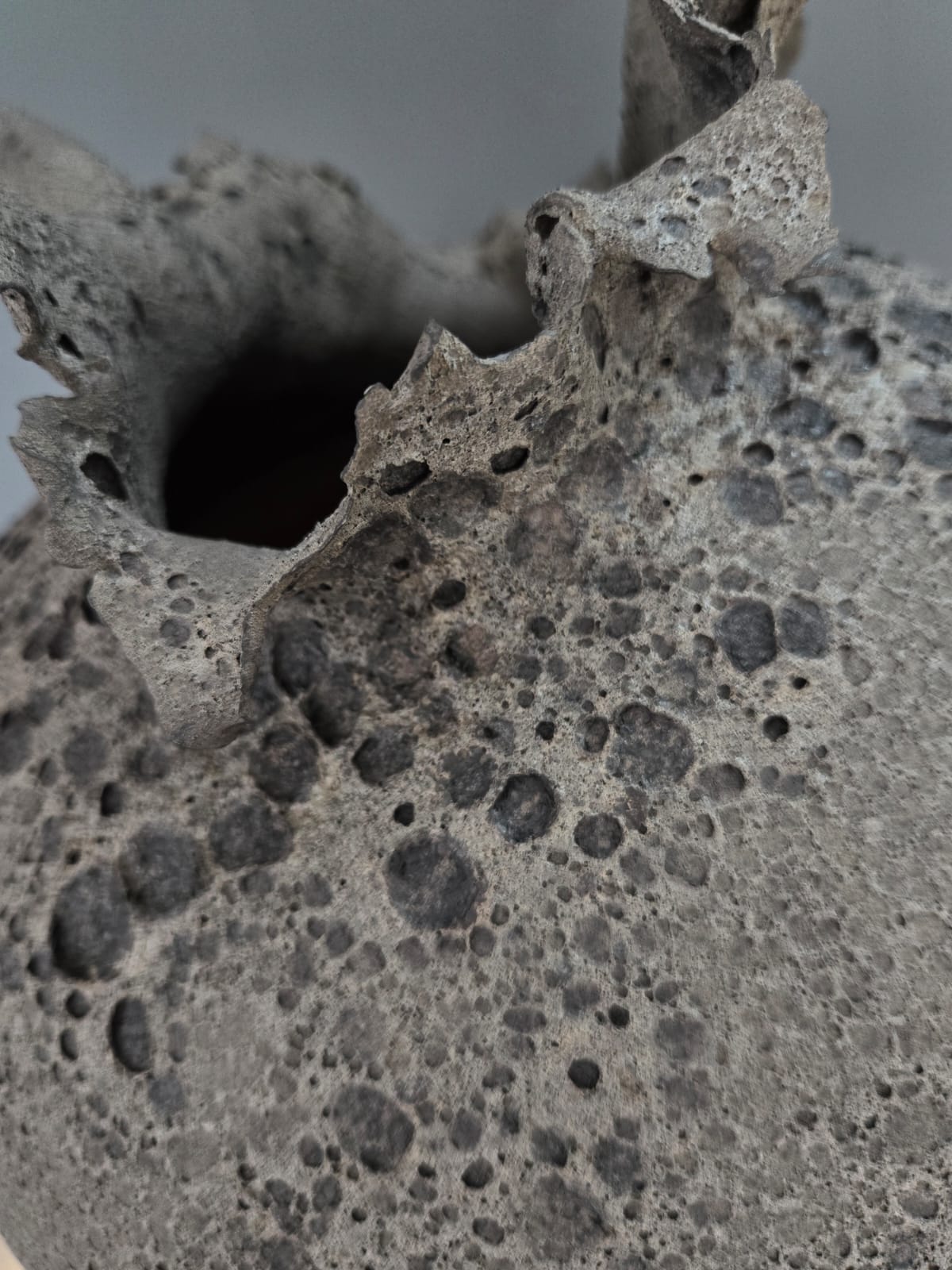 VASES SCULPTURE NOIR CALYTHÉRIS TAILLE XL – Image 2