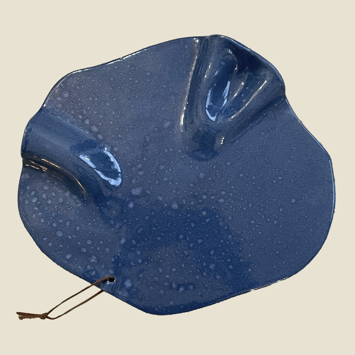 Grand plat apéritif "Mers Australes"