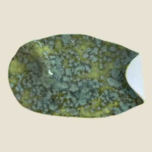 PETIT PLAT "CHLOROPHYLLE"