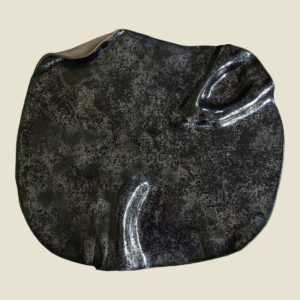 Grand plat apéritif "Profondeurs marines"