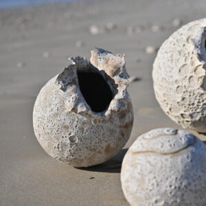 VASES SCULPTURE CALYTHÉRIS