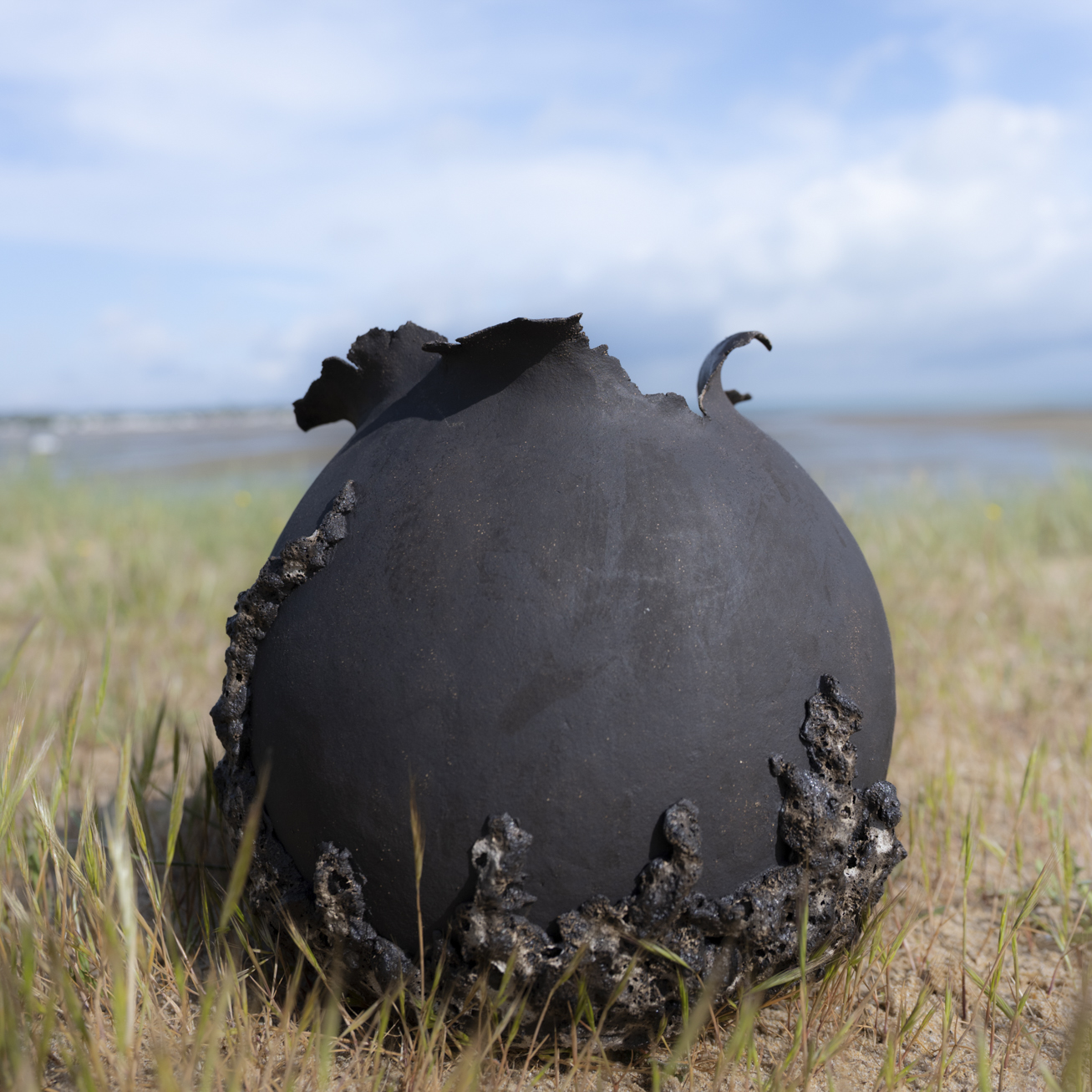 VASES SCULPTURE COLLECTION CALYTHÉRIS TAILLE L – Image 9