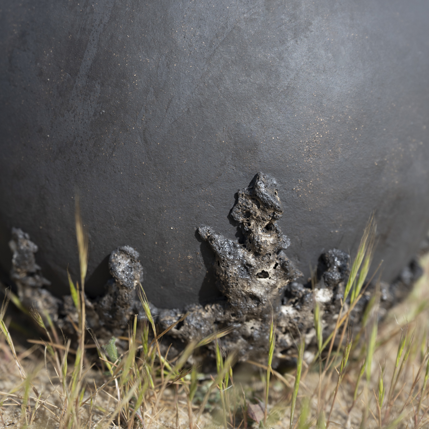 VASES SCULPTURE COLLECTION CALYTHÉRIS TAILLE L – Image 8
