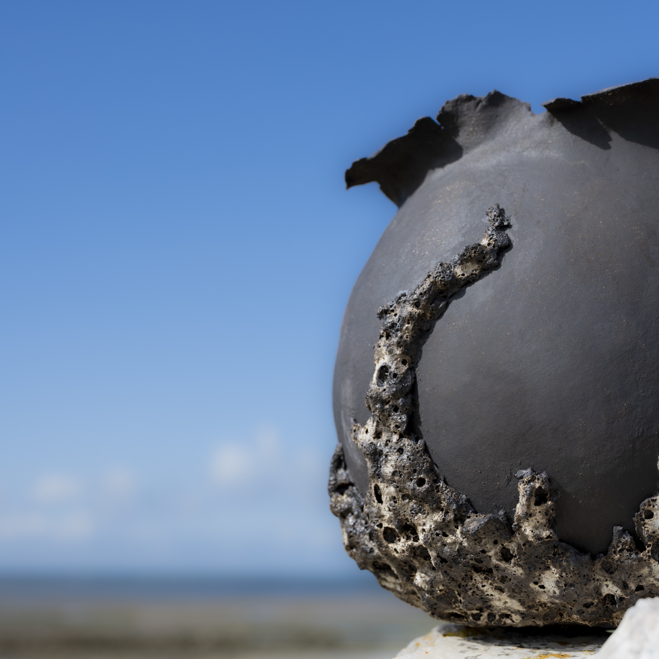 VASES SCULPTURE COLLECTION CALYTHÉRIS TAILLE L – Image 4