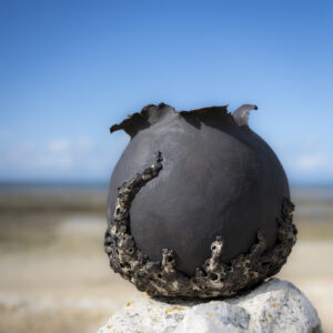 VASES SCULPTURE COLLECTION CALYTHÉRIS TAILLE L