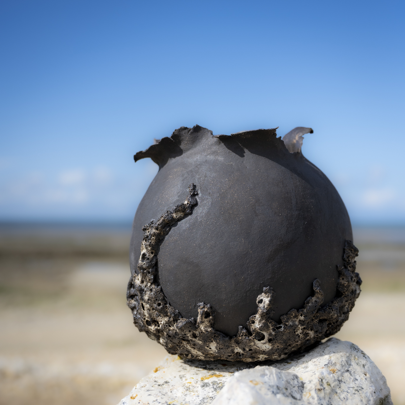 VASES SCULPTURE COLLECTION CALYTHÉRIS TAILLE L