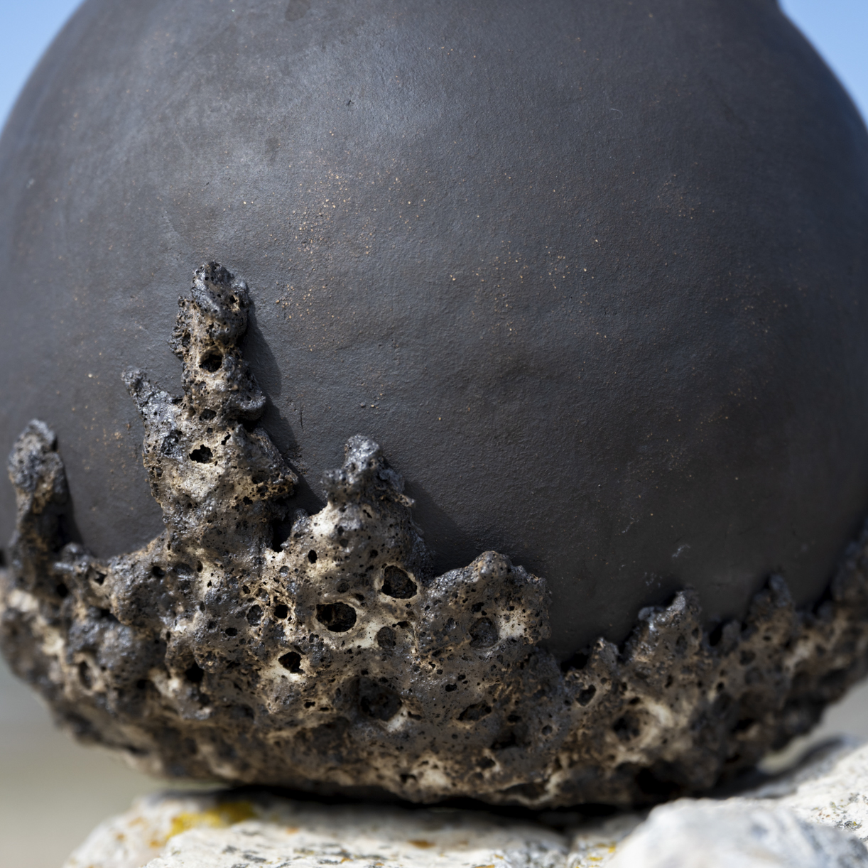 VASES SCULPTURE COLLECTION CALYTHÉRIS TAILLE L – Image 2