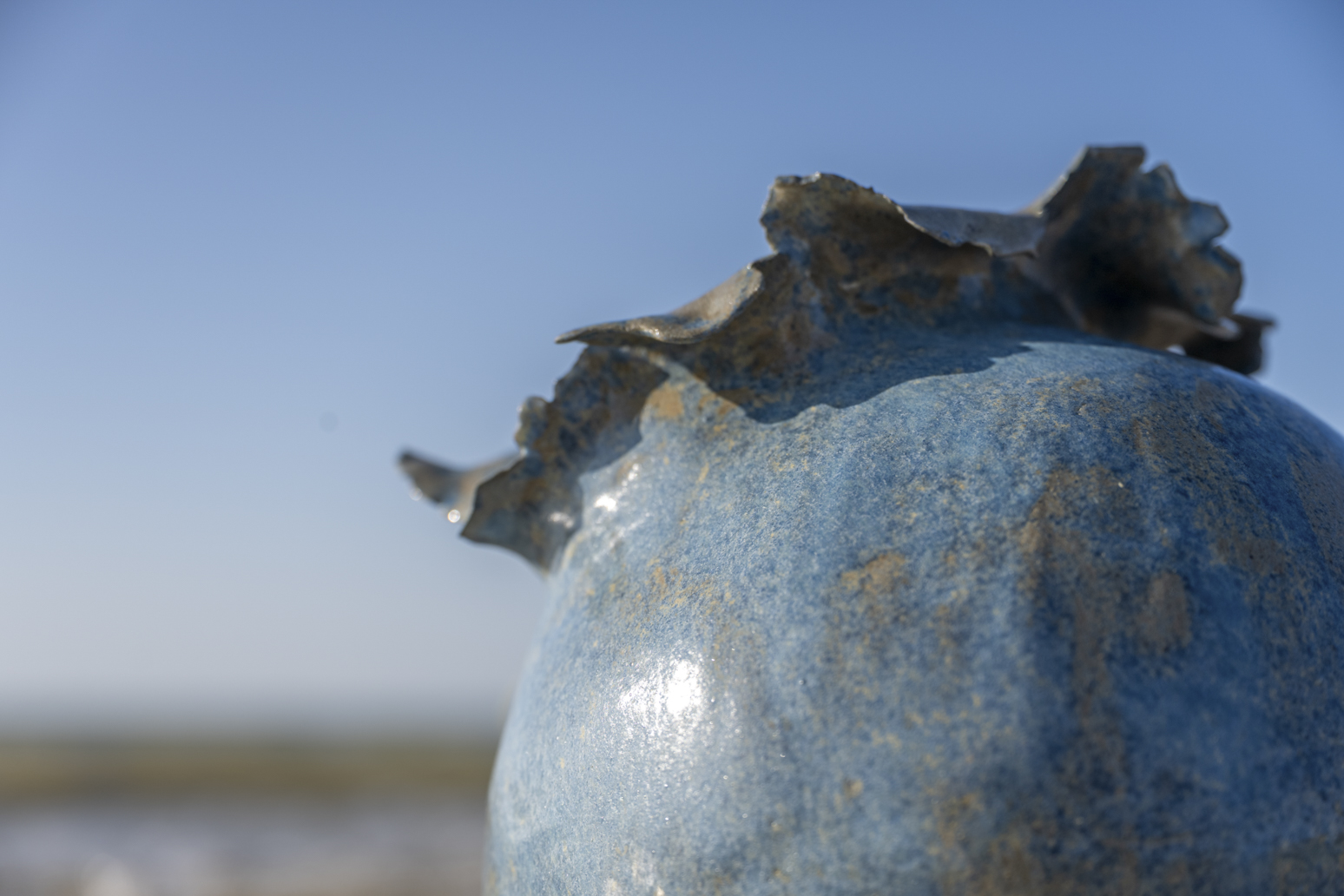 VASES SCULPTURE COLLECTION CALYTHÉRIS TAILLE M – Image 5