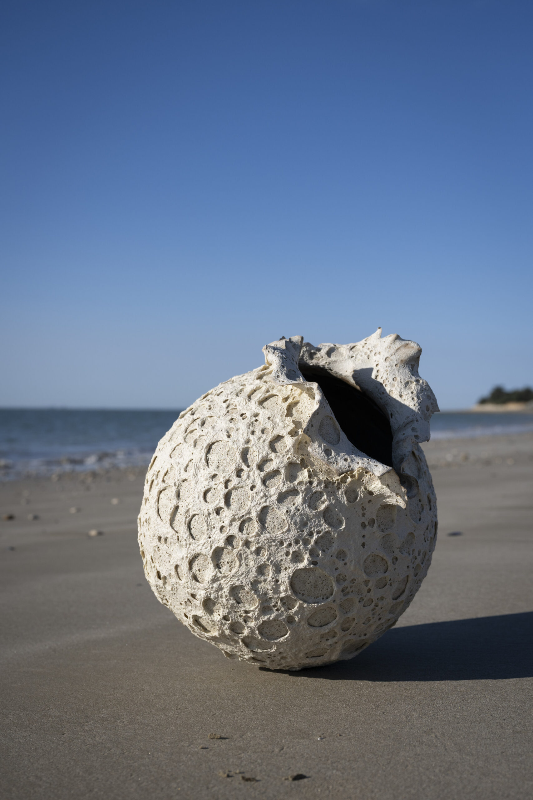 VASES SCULPTURE CALYTHÉRIS TAILLE XL – Image 6