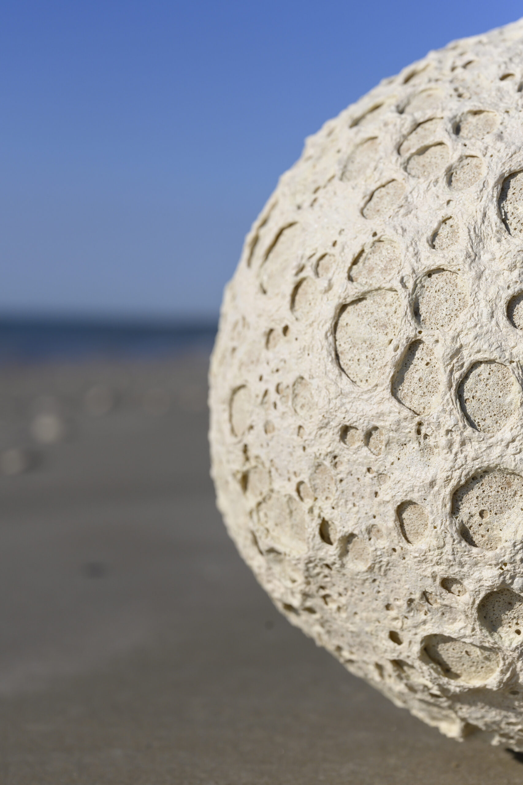 VASES SCULPTURE CALYTHÉRIS TAILLE XL – Image 4