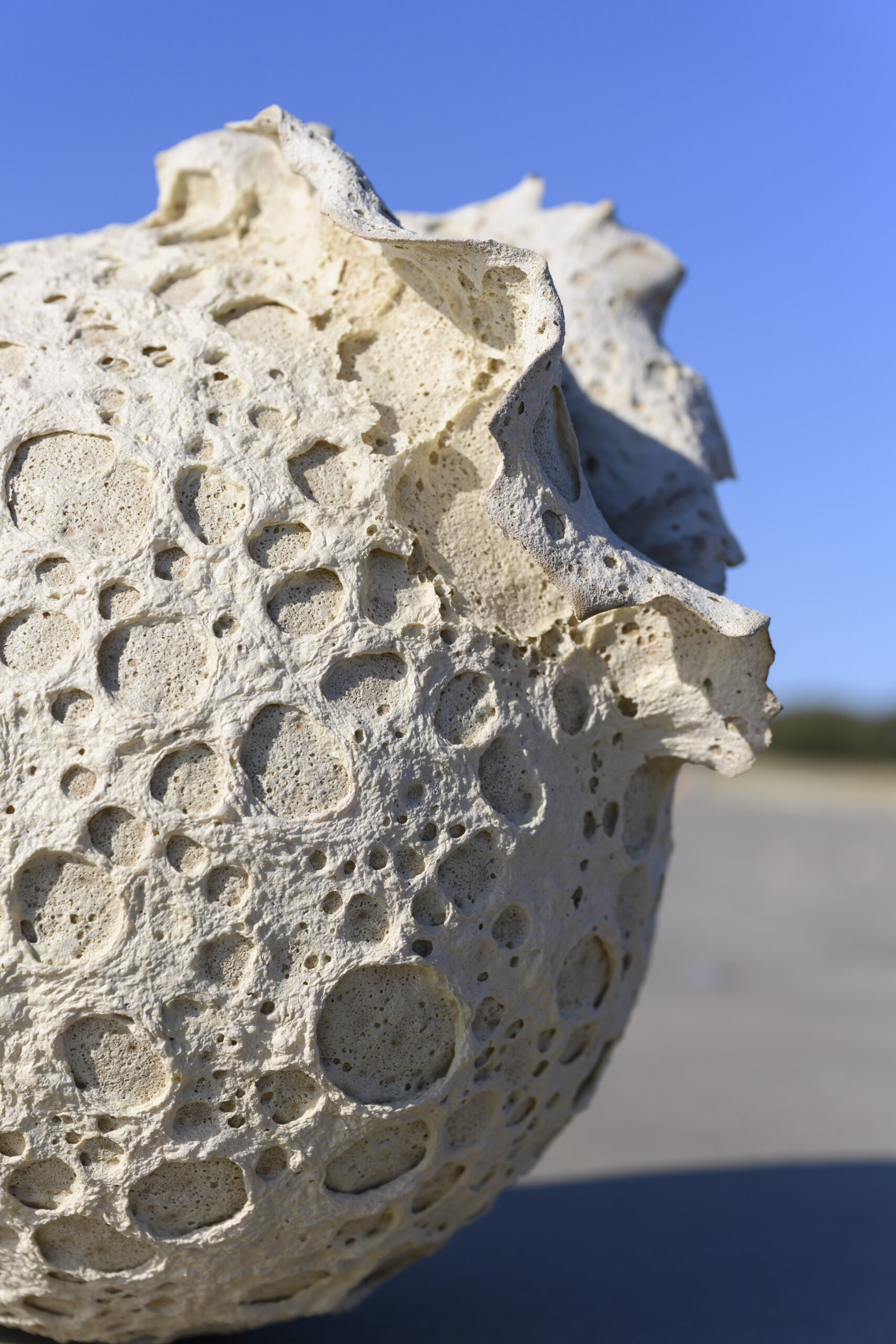 VASES SCULPTURE CALYTHÉRIS TAILLE XL – Image 3