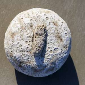 VASES SCULPTURE COLLECTION GALÉA