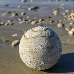 VASE CÉRAMIQUE évolutif