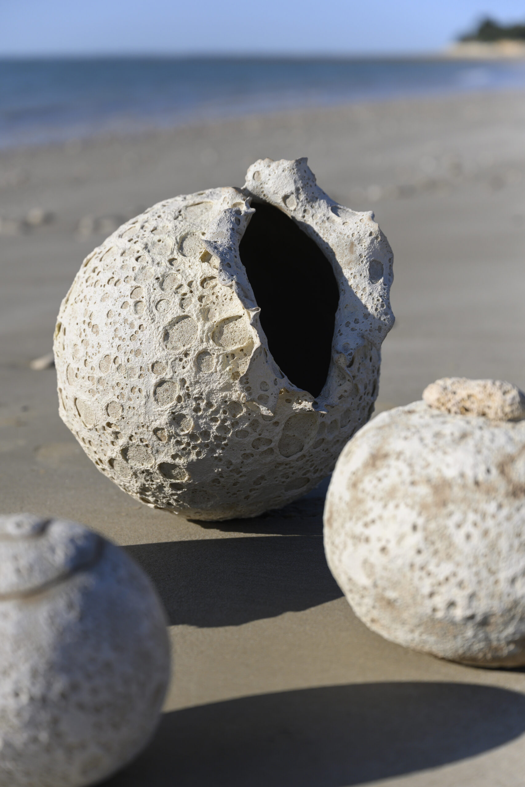 VASES SCULPTURE CALYTHÉRIS TAILLE XL – Image 2